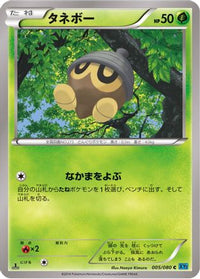 Seedot 005/080 - XY2 Wild Blaze Unlimited (Japanese)