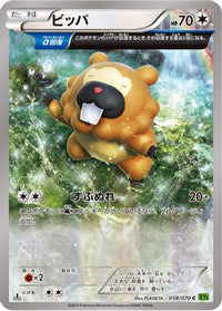 Bidoof 058/070 - XY5Bt Tidal Storm Unlimited (Japanese)