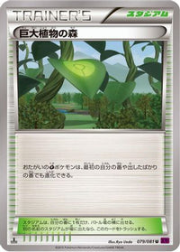 Forest of Giant Plants 079/081 - XY7 Bandit Ring Unlimited (Japanese)