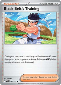 Black Belt's Training (97/131)  - SV Prismatic Evolutions