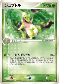 Grovyle 005/080 - Magma VS Aqua Two Ambitions 1st Edition (Japanese)