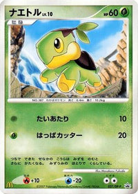 Turtwig  DP-P 027/DP-P - DPP Promotional cards  (Japanese)