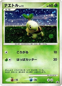 Turtwig  DP-P 072/DP-P - DPP Promotional cards Holofoil (Japanese)