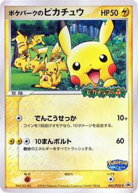 PokePark's Pikachu  PCG-P 043/PCG-P - PCGP Promotional cards  (Japanese)