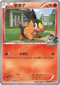 Tepig  BW-P 079/BW-P - BWP Promotional cards  (Japanese)