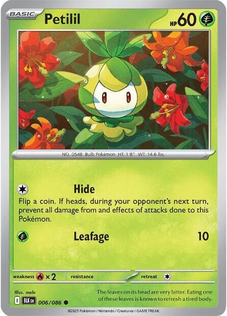 Petilil (Master Ball Pattern) (6/086) - SV Black Bolt Holofoil