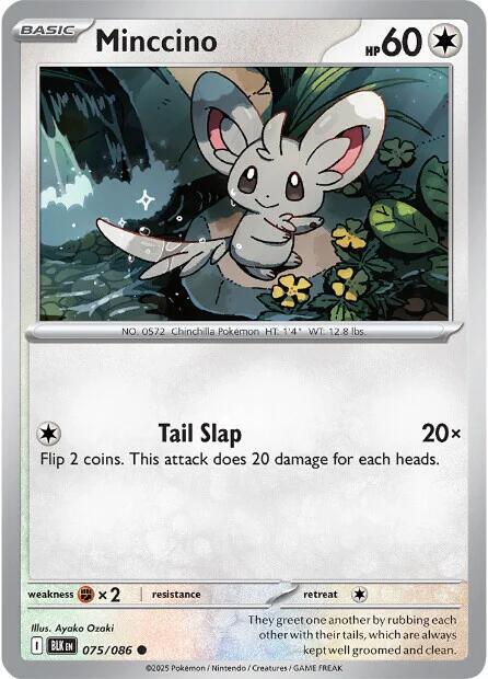 Minccino (Master Ball Pattern) (75/086) - SV Black Bolt Holofoil