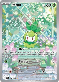 Petilil (91/086)  - SV Black Bolt Holofoil