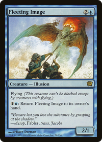 Fleeting Image [Ninth Edition]