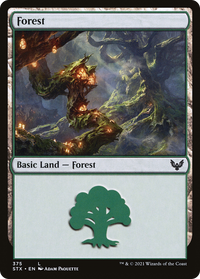 Forest (375) [Strixhaven: School of Mages]