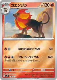 Pyroar (Mirror Holo) 128/742 - Start Deck 100 Battle Collection Holofoil (Japanese)