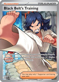 Black Belt's Training (255) - ME Ascended Heroes Holofoil