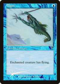 Flight [Seventh Edition]