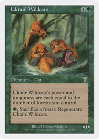 Uktabi Wildcats [Seventh Edition]