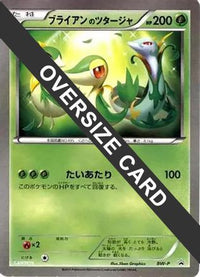 Snivy (Lawsons Original Customization Jumbo Card) - BWP Promotional cards Holofoil (Japanese)