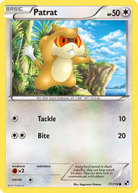 Patrat (#) (12) - BW Trainer Kit Excadrill & Zoroark