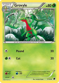 Grovyle (7/116) - Plasma Freeze