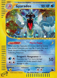 Gyarados (H10) (H10/144)  - Skyridge Holofoil
