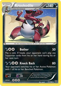 Krookodile (71/146)  - XY Base Set