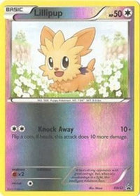 Lillipup BW52 (BW52/101)  - Black and White Promos Reverse Holofoil