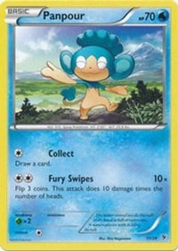 Panpour (11/39)  - Kalos Starter Set
