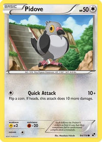 Pidove (84/114)  - Black and White