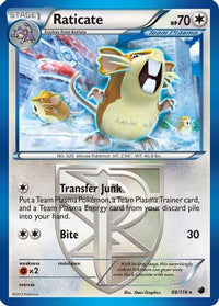 Raticate (Team Plasma) (88/116) - Plasma Freeze
