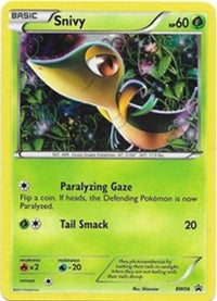 Snivy BW06 (BW06/101)  - Black and White Promos Holofoil