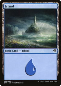 Island (265) [Dominaria United]