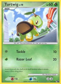Turtwig (17/17) - POP Series 6