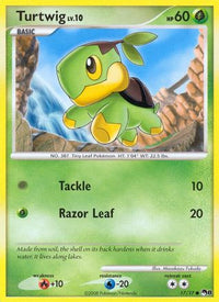 Turtwig (17/17) - POP Series 8