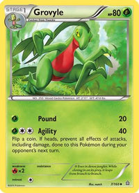 Grovyle (7/160)  - XY  Primal Clash