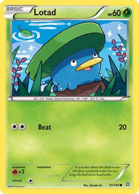 Lotad (10/160)  - XY  Primal Clash
