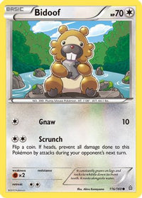 Bidoof (116/160)  - XY  Primal Clash