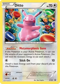 Ditto (XY40/211) - XY Promos Holofoil
