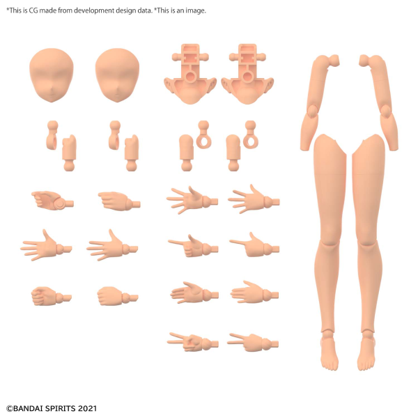 30MS OPTION BODY PARTS ARM PARTS & LEG PARTS [COLOR C] (Pre-Order)