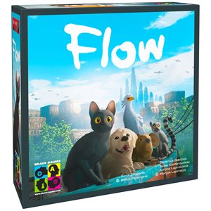 Flow (ML)