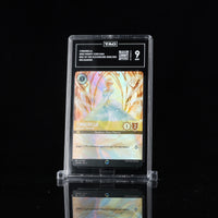 CINDERELLA - BALLROOM SENSATION #205/204 TAG 9 Cert #E1784414