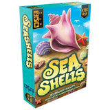 Seashells (EN) (Special Order)