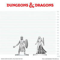D&D Nolzur's Marvelous Unpainted Miniatures: Black Gauntlet & Zhentilar Paladin of Bane (EN)^ Aug 20 (Special Order)