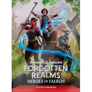 Dungeons & Dragons: Heroes of Faerun (EN)