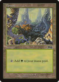 Forest (349) [Urza's Saga]