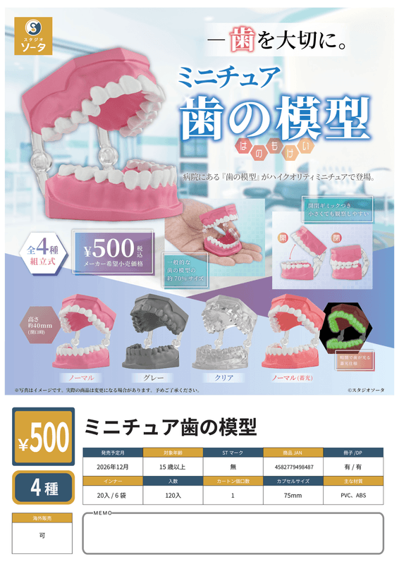 Miniature Tooth Models (Pre-Order)