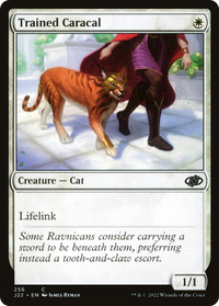 Caracal formé [Jumpstart 2022] 