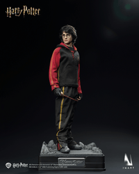 INART - Harry Potter and the Goblet of Fire - Harry Potter 1/6 Collectible Figure (Pre-Order)