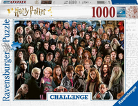 HARRY POTTER CHALLENGE 1000PC PUZZLE (Special Order)