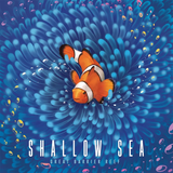 SHALLOW SEA (Special Order)