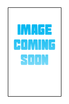 JOJO'S BIZARRE ADVENTURE: GLOBETROTTER GUIDEBOOK (Pre-Order)