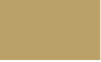 VALLEJO: MODEL COLOR KHAKI (17ML) (Special Order)