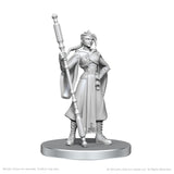 CR UNPAINTED MINIS WV26 BEAUREGARD LIONETT & CALEB WIDOGAST (Special Order)